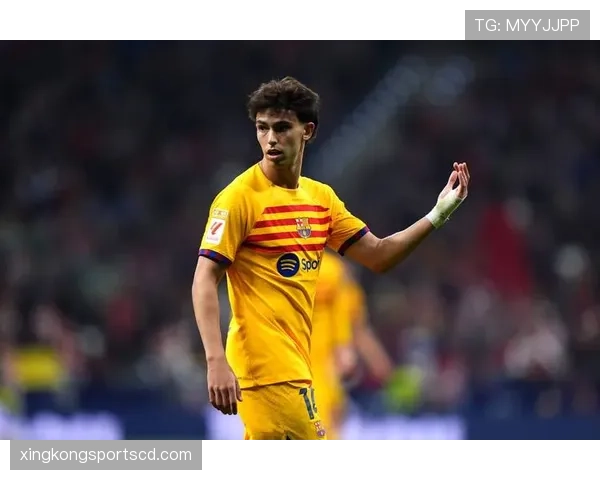 菲利克斯的上限与顶级球星潜力解析